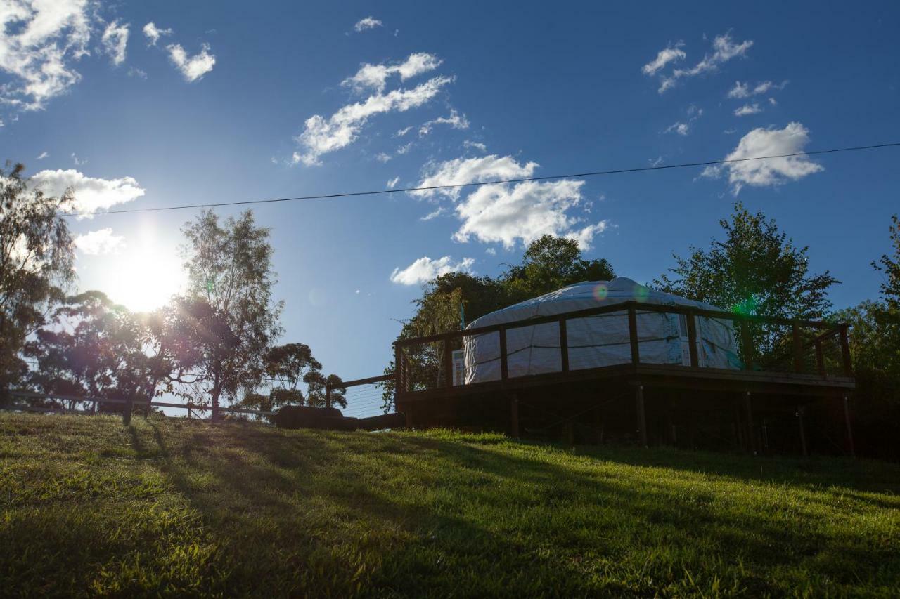 Awesome Glamping Gold Coast Hinterland Hotel Advancetown Buitenkant foto