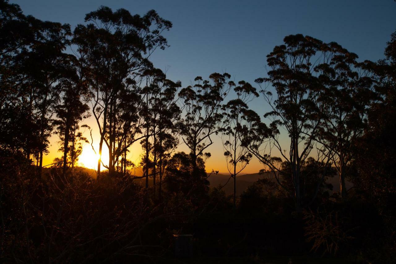 Awesome Glamping Gold Coast Hinterland Hotel Advancetown Buitenkant foto